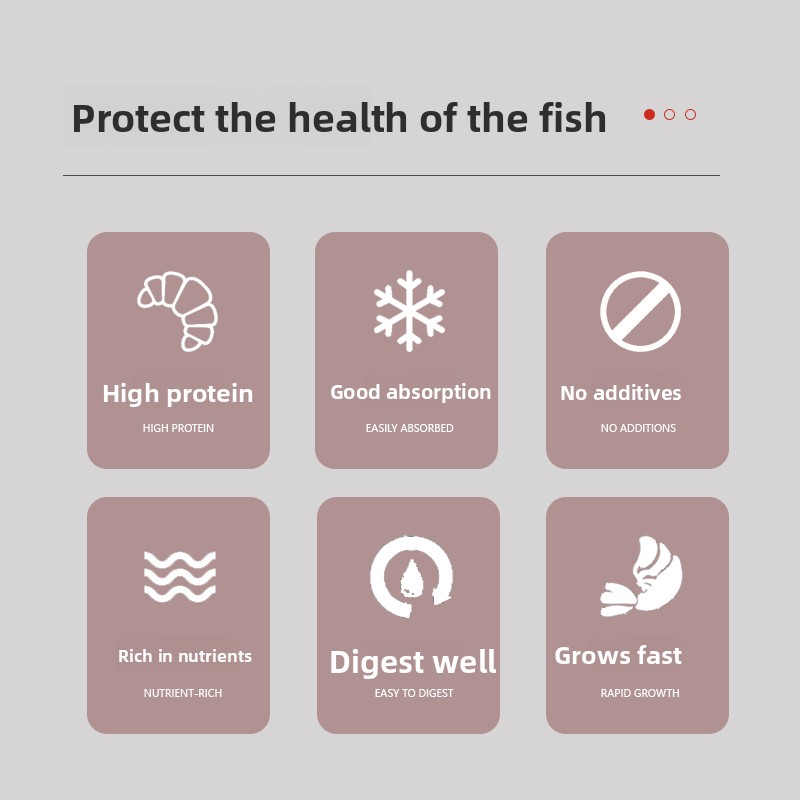 PENISON Powder Baby Fish Food, - Baby Food Diet 评论和价格