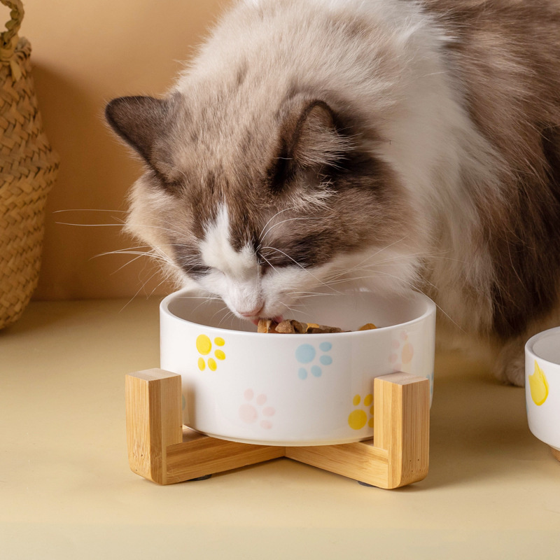Ceramics Dog Bowl with Wood Ma - Baby Food Cat 评论和价格