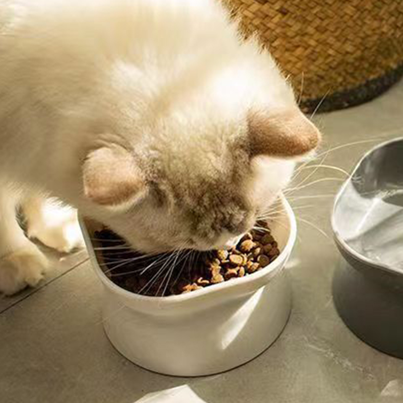 Dual-purpose Cat/Dog Food Bowl - Baby Food Cat 评论和价格